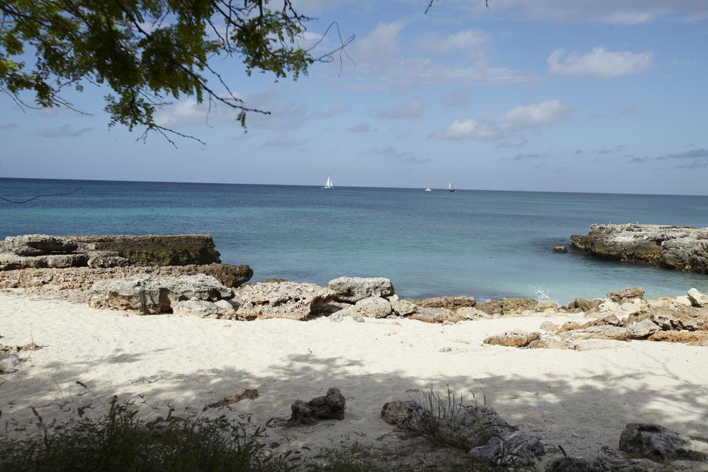 Villa Bougainvillea Aruba, the Tango Suite Palm Beach Bagian luar foto