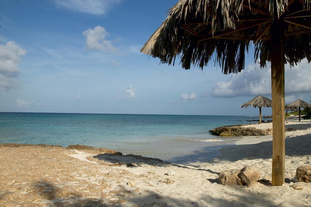 Villa Bougainvillea Aruba, the Tango Suite Palm Beach Bagian luar foto