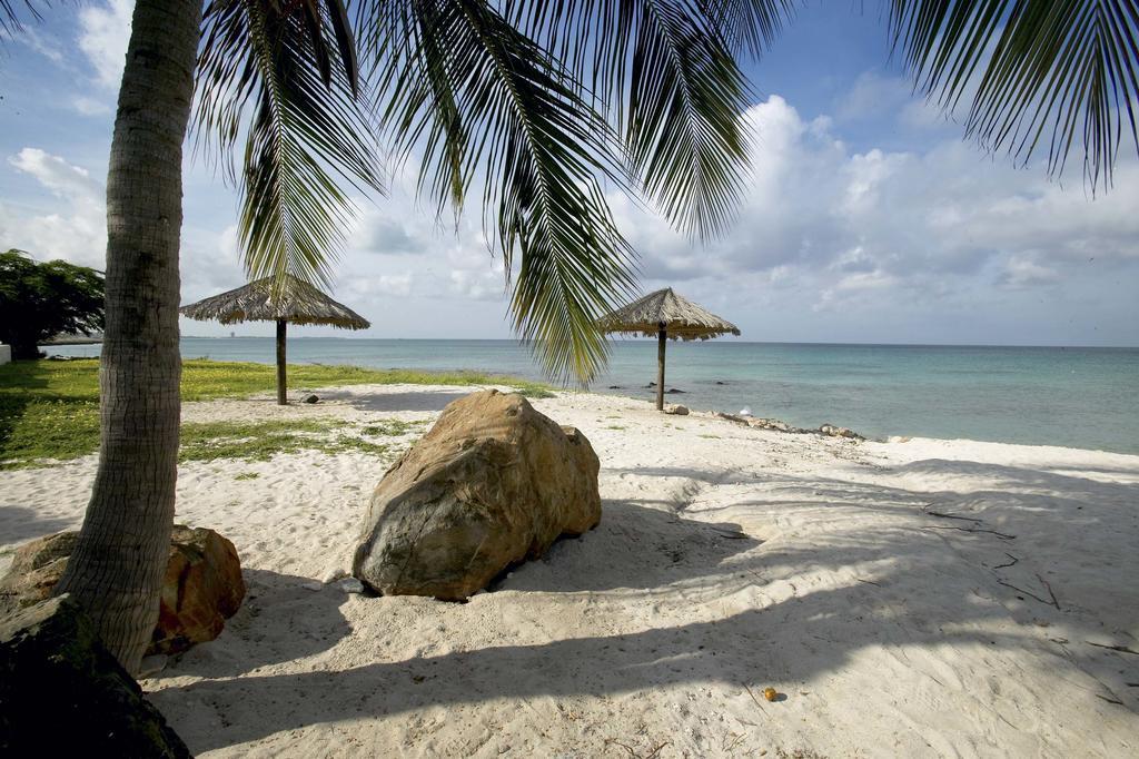 Villa Bougainvillea Aruba, the Tango Suite Palm Beach Bagian luar foto